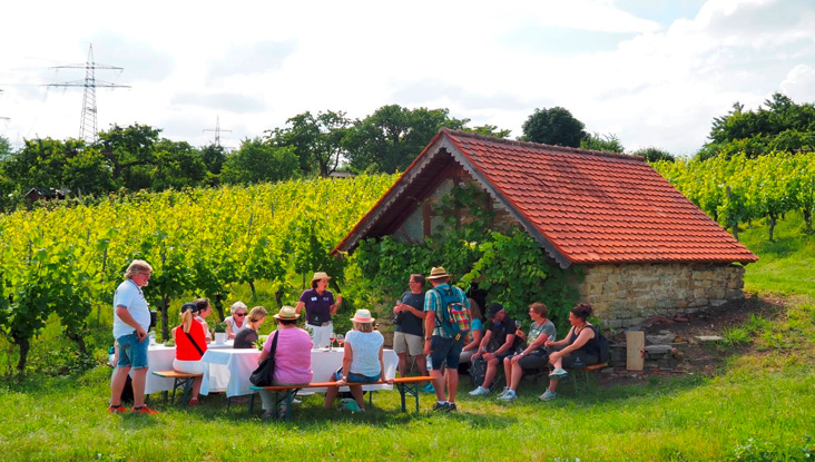 Neckar-Wein-Helden: Die Ludwigsburger Steillagen und deren Premiumweine entdecken