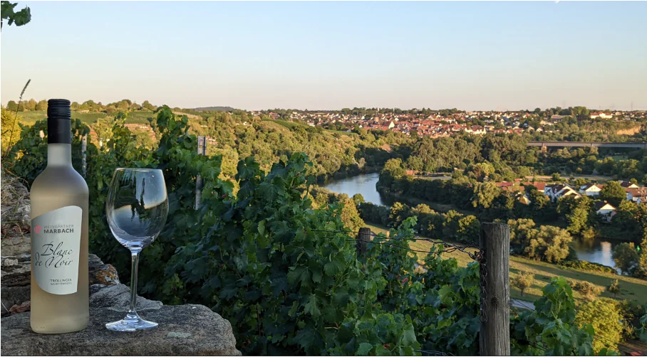Weinerlebnisführung 2026 Marbach