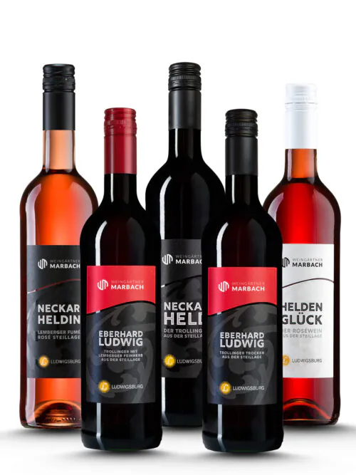 Weinpaket Steile Freude