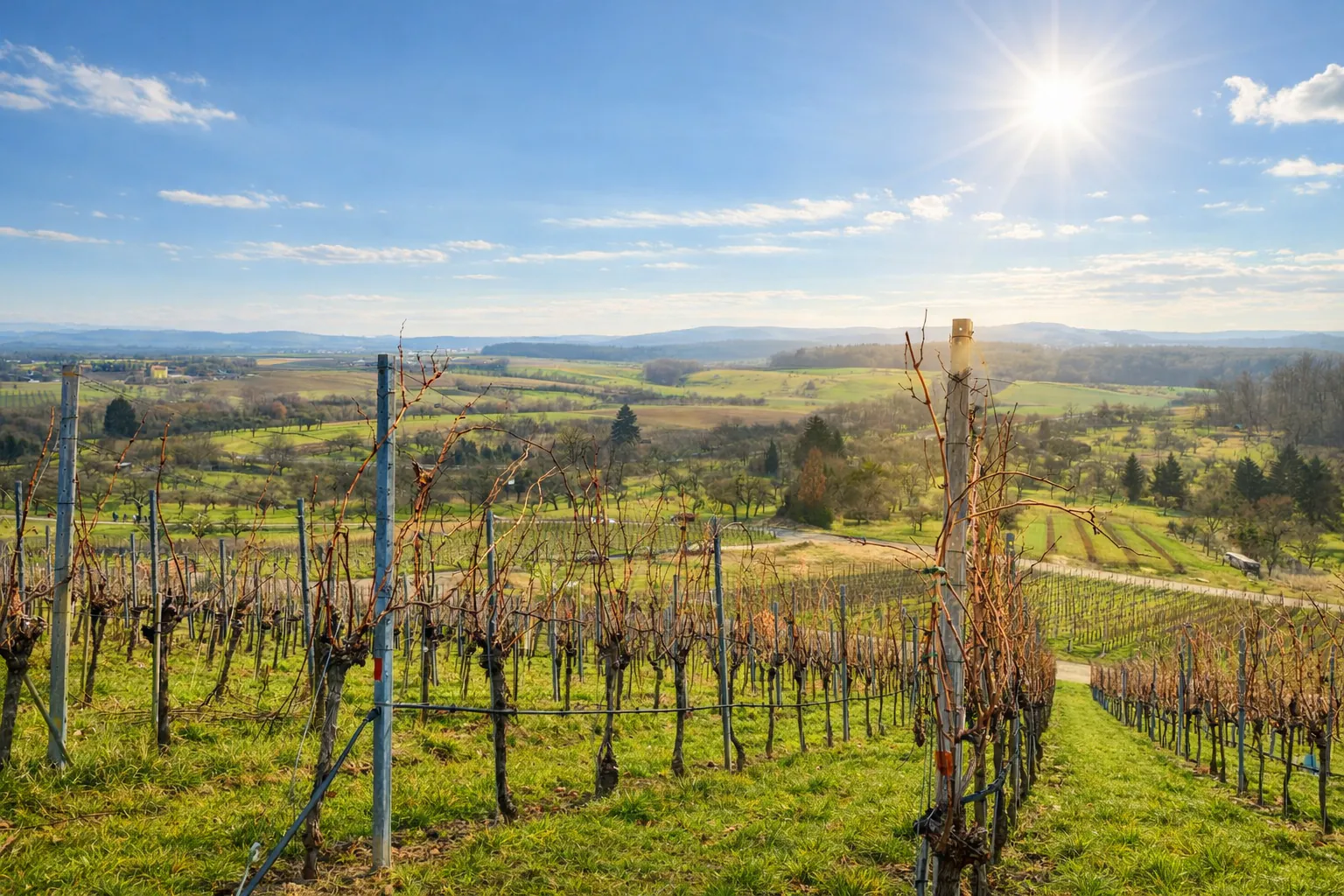 Weinerlebnisführung 2026 Lemberg