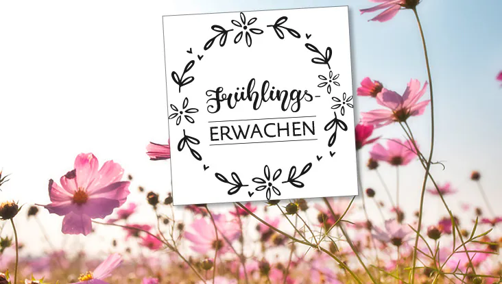 Frühlingserwachen